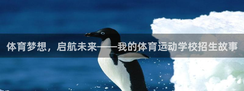 意昂4体育平台开户链接：体育梦想，启航未来——我的体育运动学校招生故事