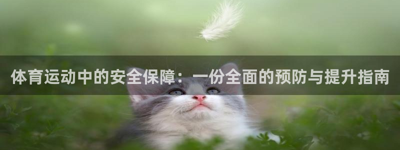 意昂4体育在线注册：体育运动中的安全保障：一份全面的预防与提升指南