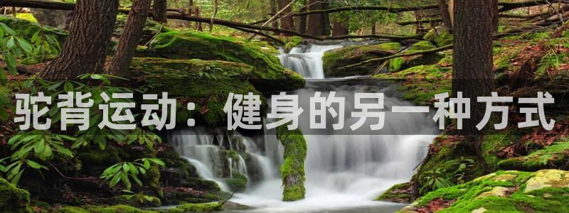 意昂4体育官网入口登录：驼背运动：健身的另一种方式