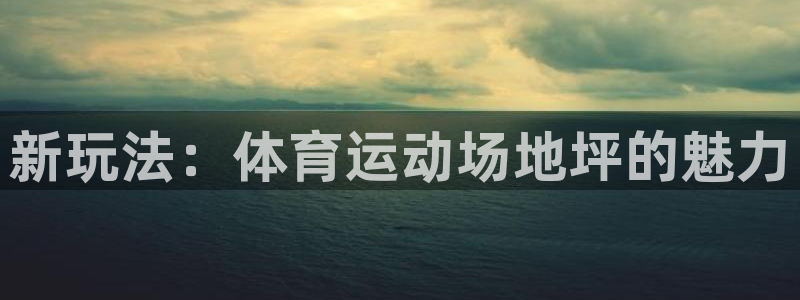 意昂4体育免费注册入口：新玩法：体育运动场地坪的魅力