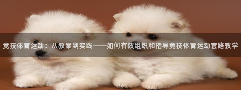 意昂45注册：竞技体育运动：从教案到实践——如何有效组织和指导竞技体育运动套路教