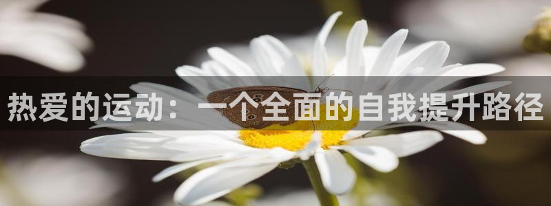 意昂4官网注册：热爱的运动：一个全面的自我提升路径