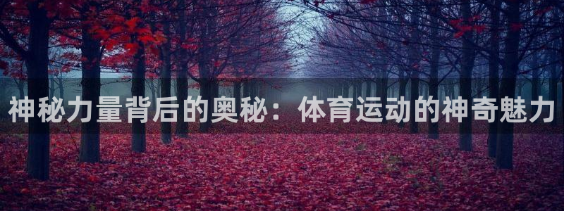 意昂4体育游戏：神秘力量背后的奥秘：体育运动的神奇魅力