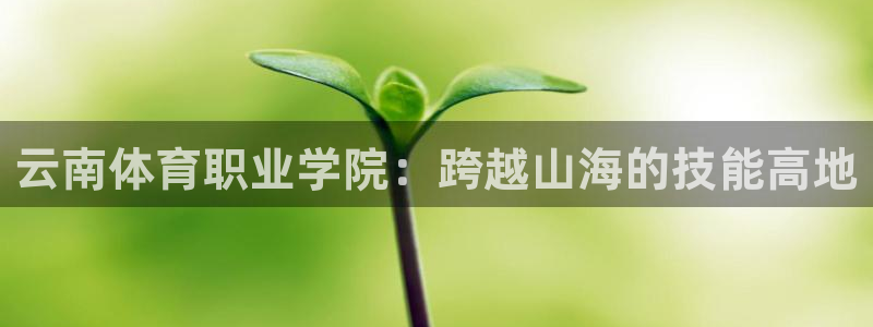 意昂4体育和杏耀是哪个公司的：云南体育职业学院：跨越山海的技能高地