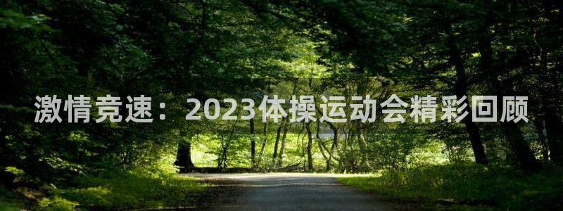 意昂4体育凯捷平台主管：激情竞速：2023体操运动会精彩回顾