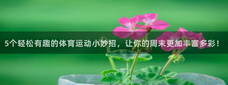 意昂4体育注册代理：5个轻松有趣的体育运动小妙招，让你的周末更加丰富多彩！