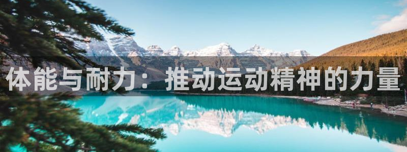 意昂4体育3在线注册：体能与耐力：推动运动精神的力量
