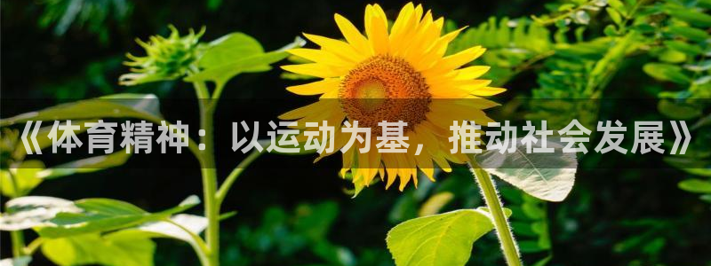 意昂4平台注册入口：《体育精神：以运动为基，推动社会发展》