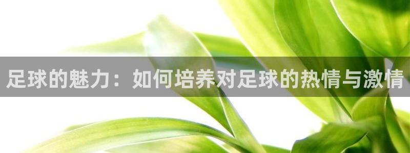意昂4体育app下载：足球的魅力：如何培养对足球的热情与激情