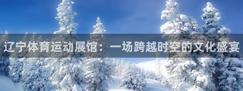 意昂43代理：辽宁体育运动展馆：一场跨越时空的文化盛宴
