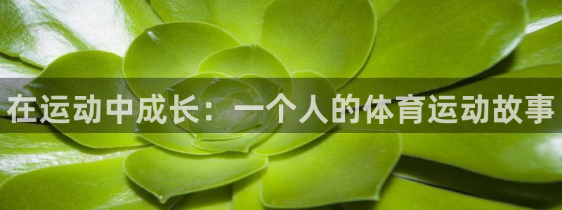 意昂4体育凯捷登陆：在运动中成长：一个人的体育运动故事