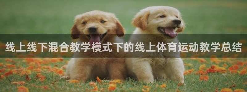 意昂4体育老板是谁：线上线下混合教学模式下的线上体育运动教学总结