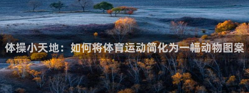 意昂42平台登录：体操小天地：如何将体育运动简化为一幅动物图案