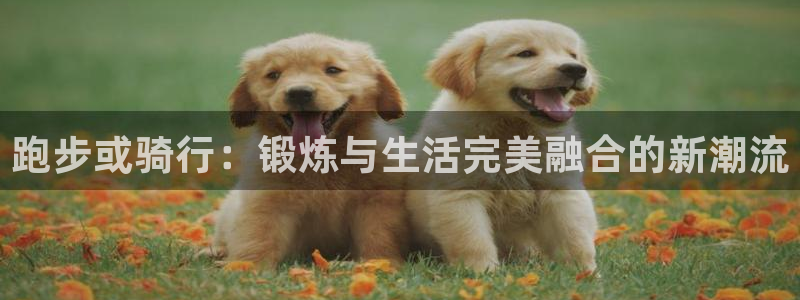 意昂4体育凯捷平台招商