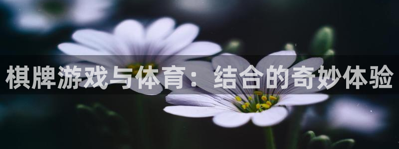 意昂4总代