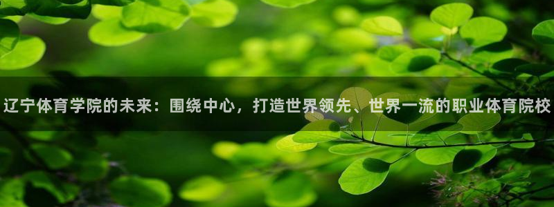 意昂43登录：辽宁体育学院的未来：围绕中心，打造世界领先、世界一流的职业体育院校