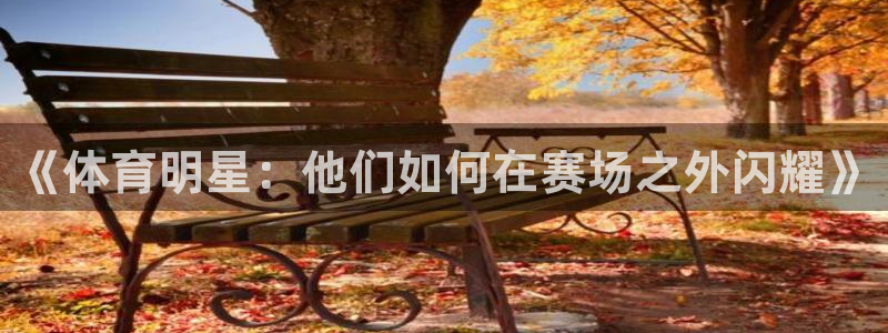 意昂4官网入口：《体育明星：他们如何在赛场之外闪耀》